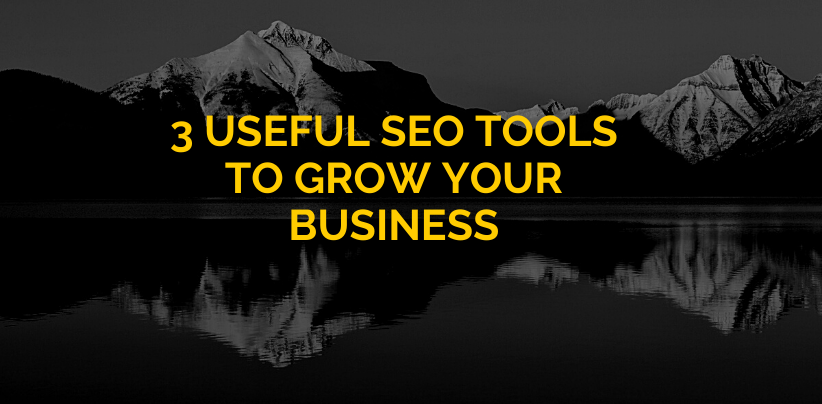 3 Useful SEO Tools to Grow Your Business